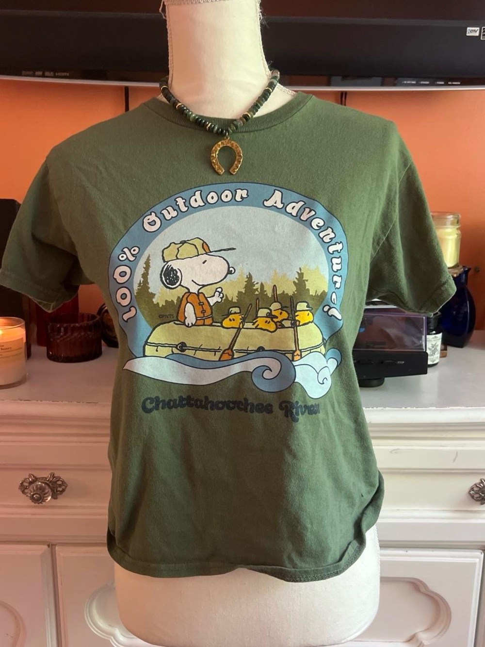 Peanuts '100% Outdoor Adventure' Short Sleeve Tee - Olive